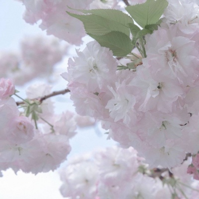 屯溪FurryQQ群介绍